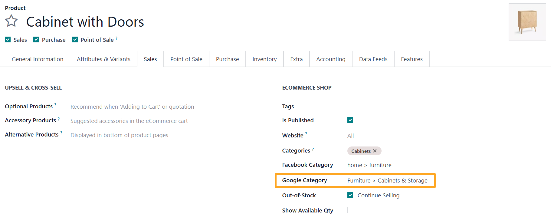 Odoo 18.0 Product Google Category